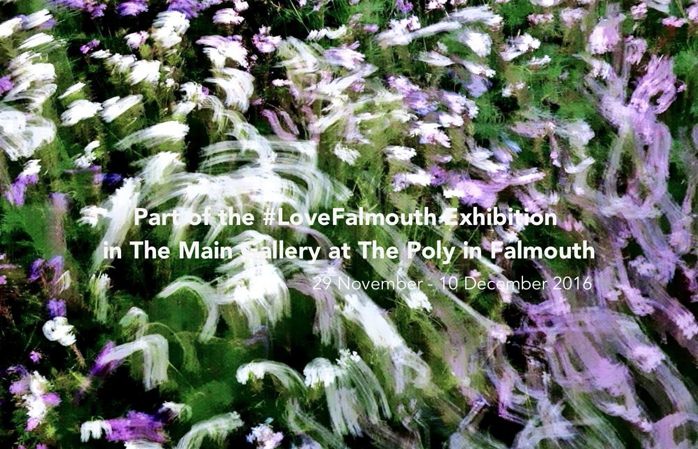loveFalmouth Exhibition banner in 2016-2017