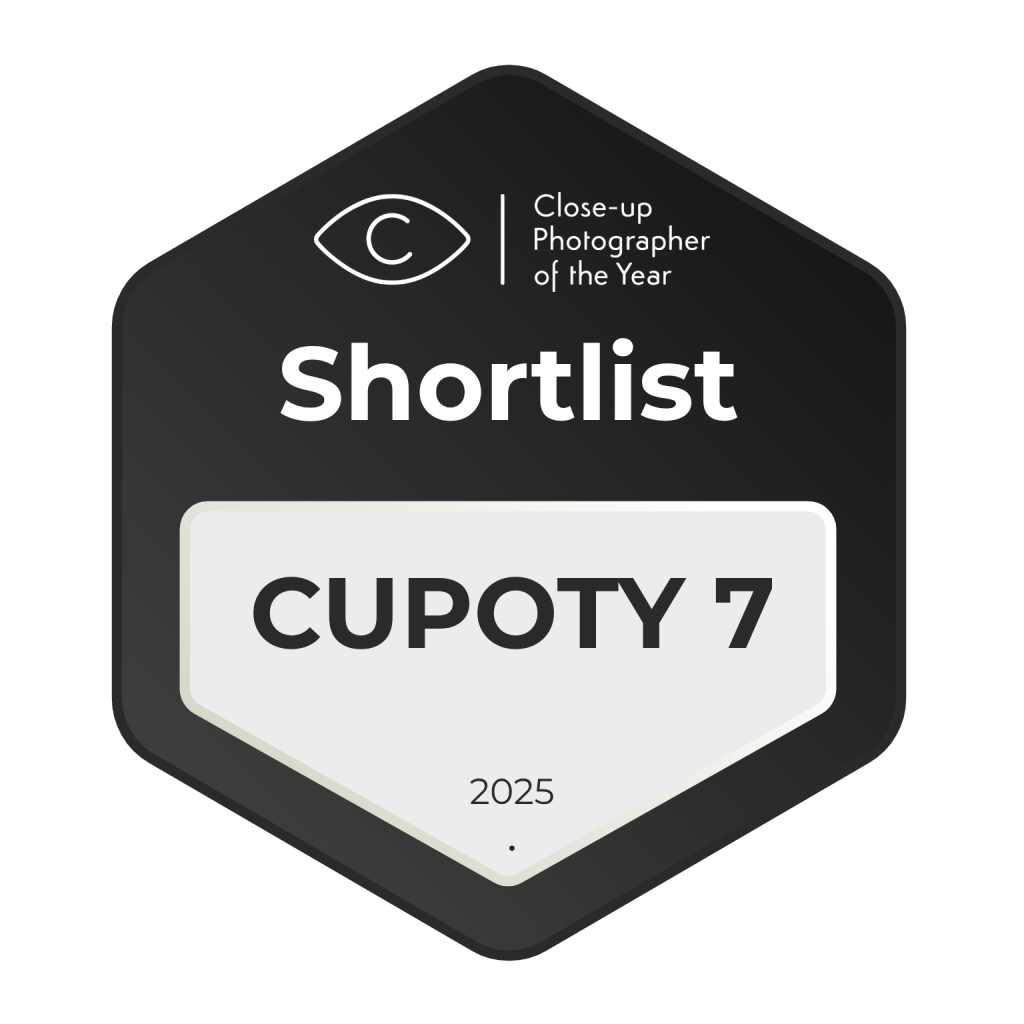 Shortlisted CUPOTY05 badge