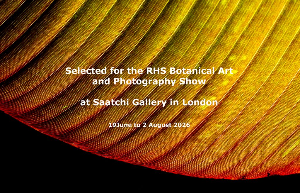 RHS Botanical Art and Photography Show 2026