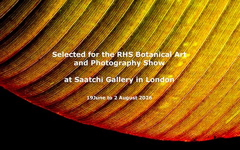 RHS Botanical Art and Photography Show 2026
