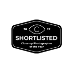 Shortlisted CUPOTY04 badge