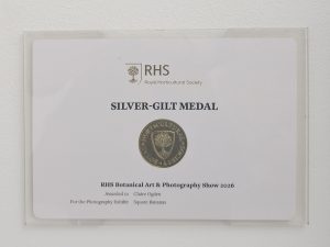 RHS Silver-Gilt Medal on the wall at Saatchi Gallery 2026