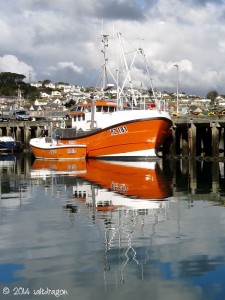 Fishing boat Mayflower in Newlyn harbour in Cornwall