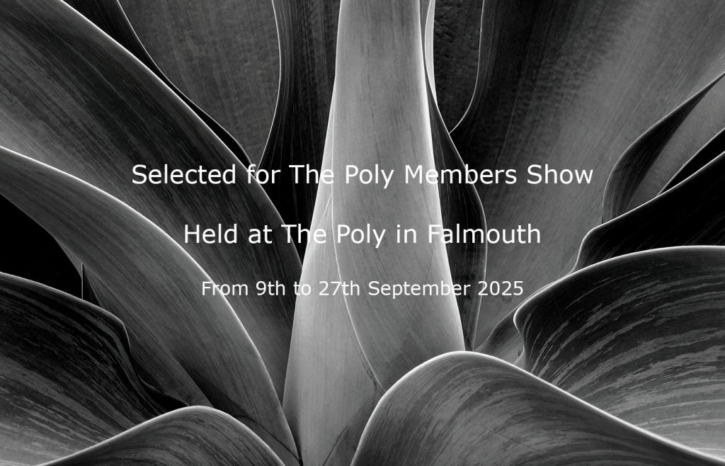 Poly Members Show 2025